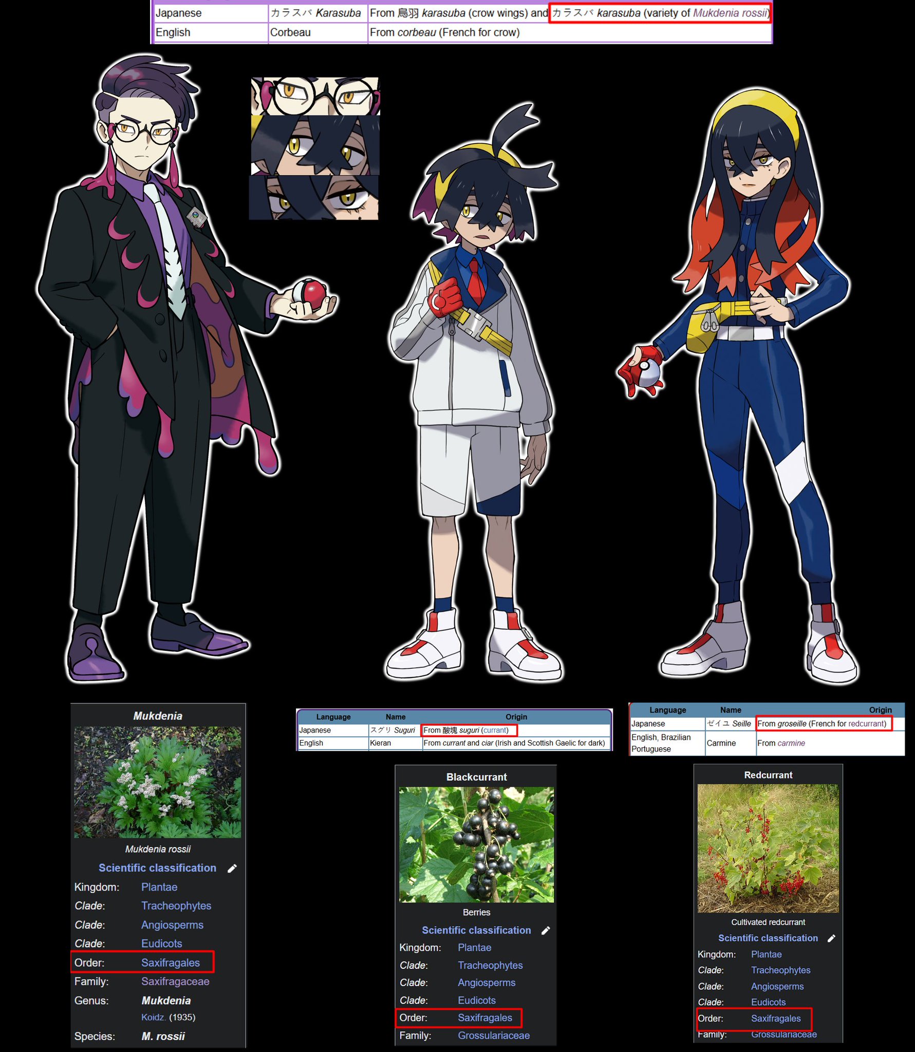 バラパック 50P ロケット団の栄光　恐らくサーチ済みです。 名は｢S｣。ポケモンカードサーチの人☆ロケット団の栄光、バトパ