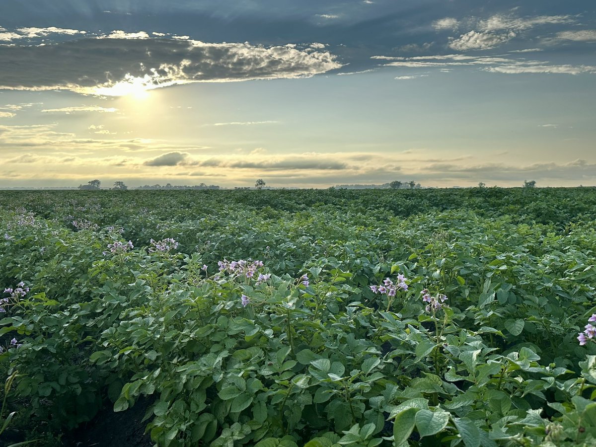 Blake Rafferty tweet media