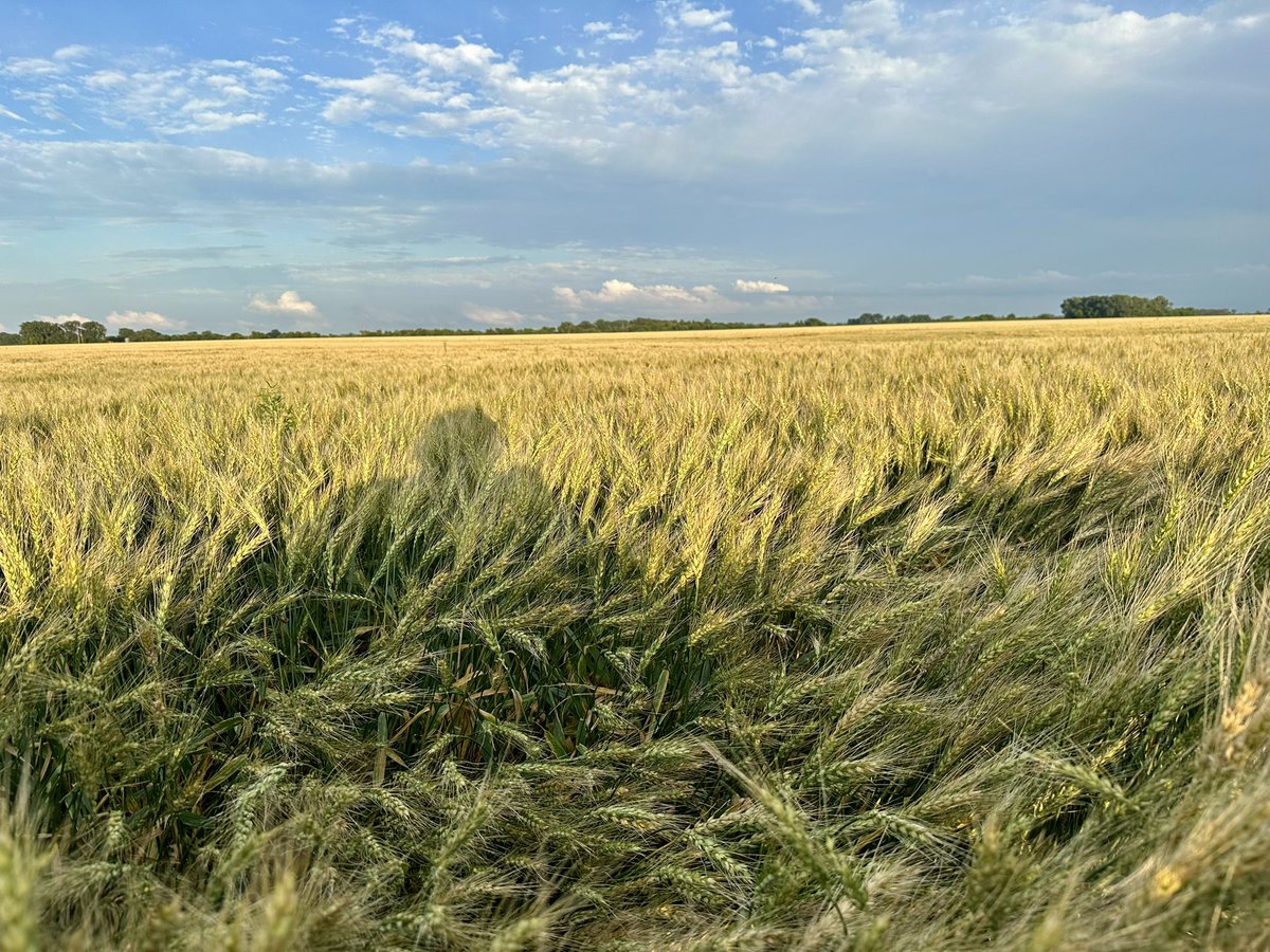 Blake Rafferty tweet media