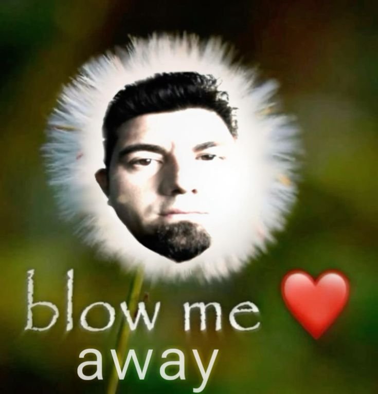 acervodeftones's tweet image. boa noite meus queridos