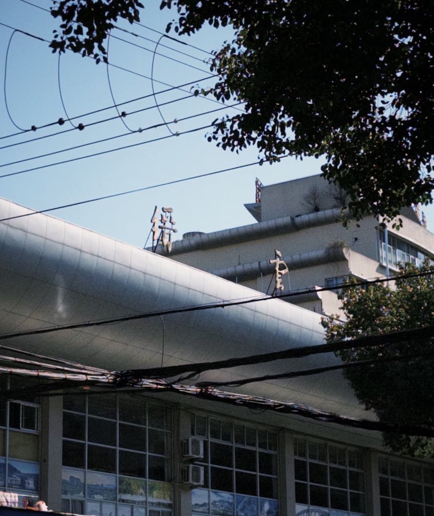 zhaoqiaqia0125's tweet image. 骑着摩托车上班，太方便了，骑车不迟到，风吹过来还特舒服！感谢缙云没有禁摩，摩友友好的地方。#摩托车 #禁摩 #China #互fo #互关 
Motorcycle-friendly city