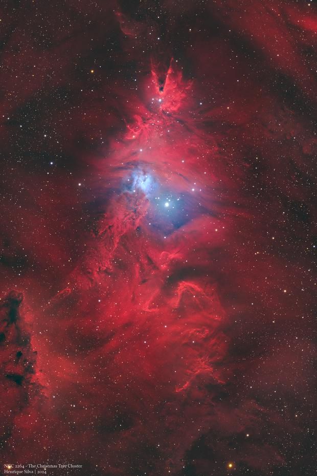 maiz_julio's tweet image. NGC2264 Cone and Chriistmas tree Nebula by Henrique Silva ((astrobin)