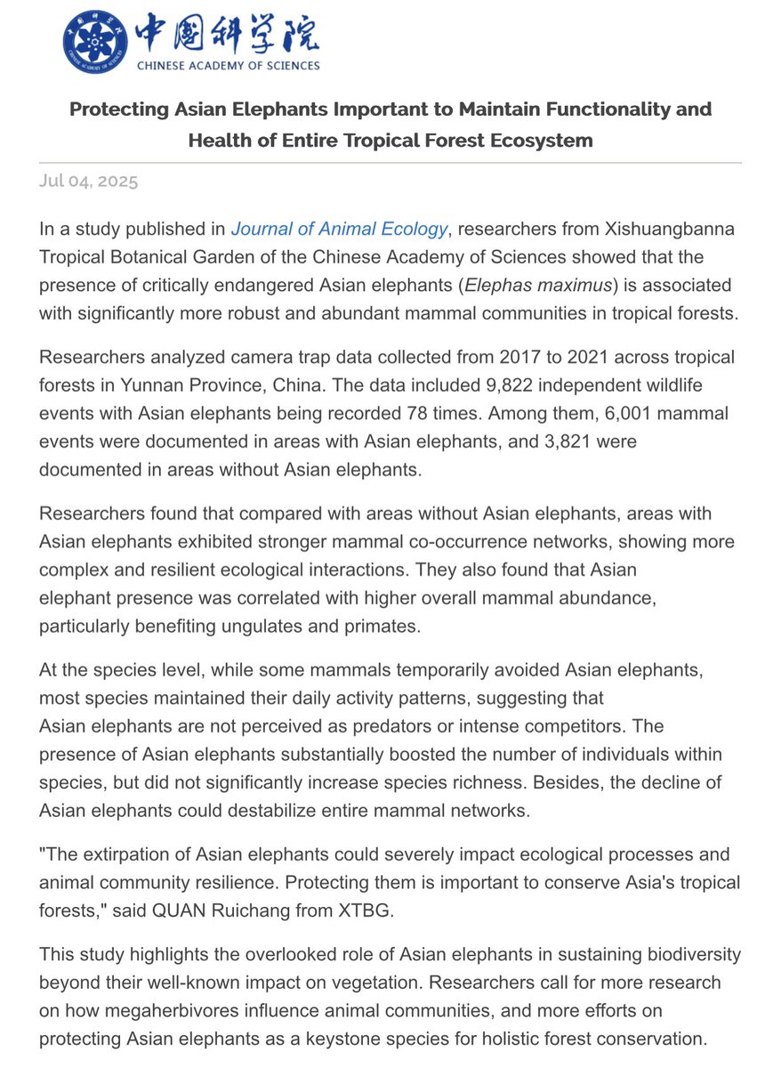 wrathofgnon's tweet image. Chinese wild elephants are a vital species in ecosystems: "Researchers found that compared with areas without Asian elephants, areas with Asian elephants exhibited stronger mammal co-occurrence networks, showing more complex and resilient ecological interactions. They also found…
