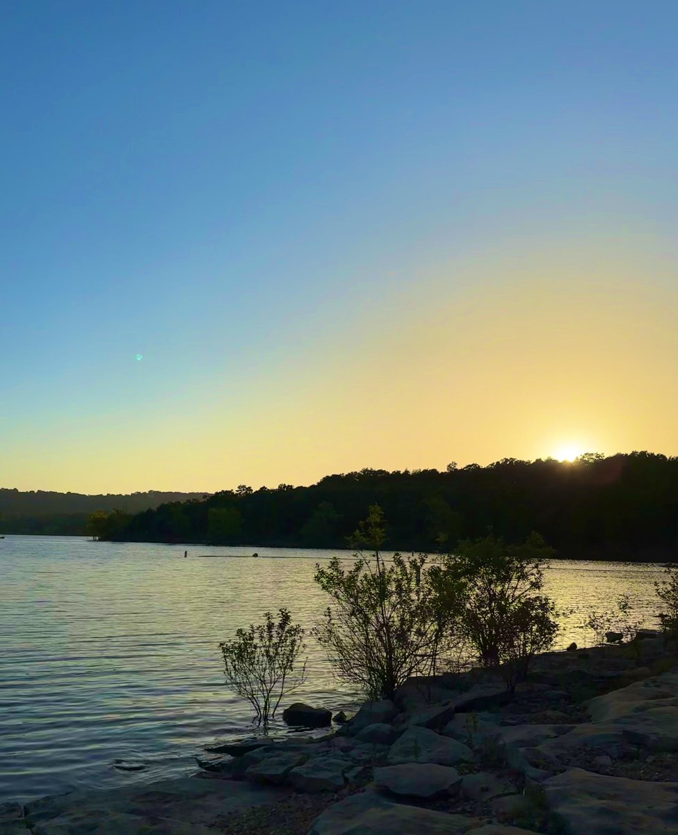 cold_lil_heartt's tweet image. slow sighs and fading light
watching ripples in the water float by
it’s so beautiful but goddamn it still hurts