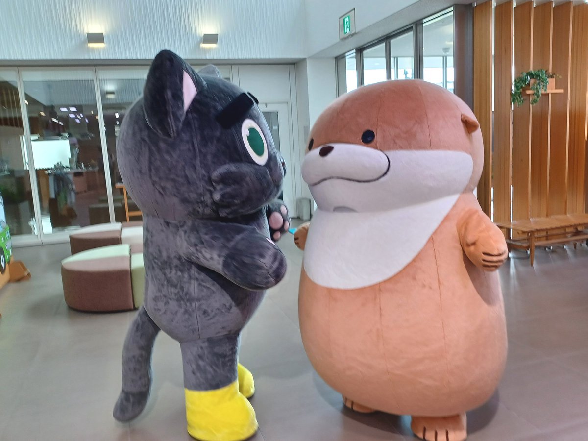 pier21_web's tweet image. おはようございます!
埼玉は32℃☀️です
なにかお話しをしているうそやんとネコくん🐱🦦
#カワウソうそやん
#ゆるっと企業キャラの集い
#なんの話しですか?