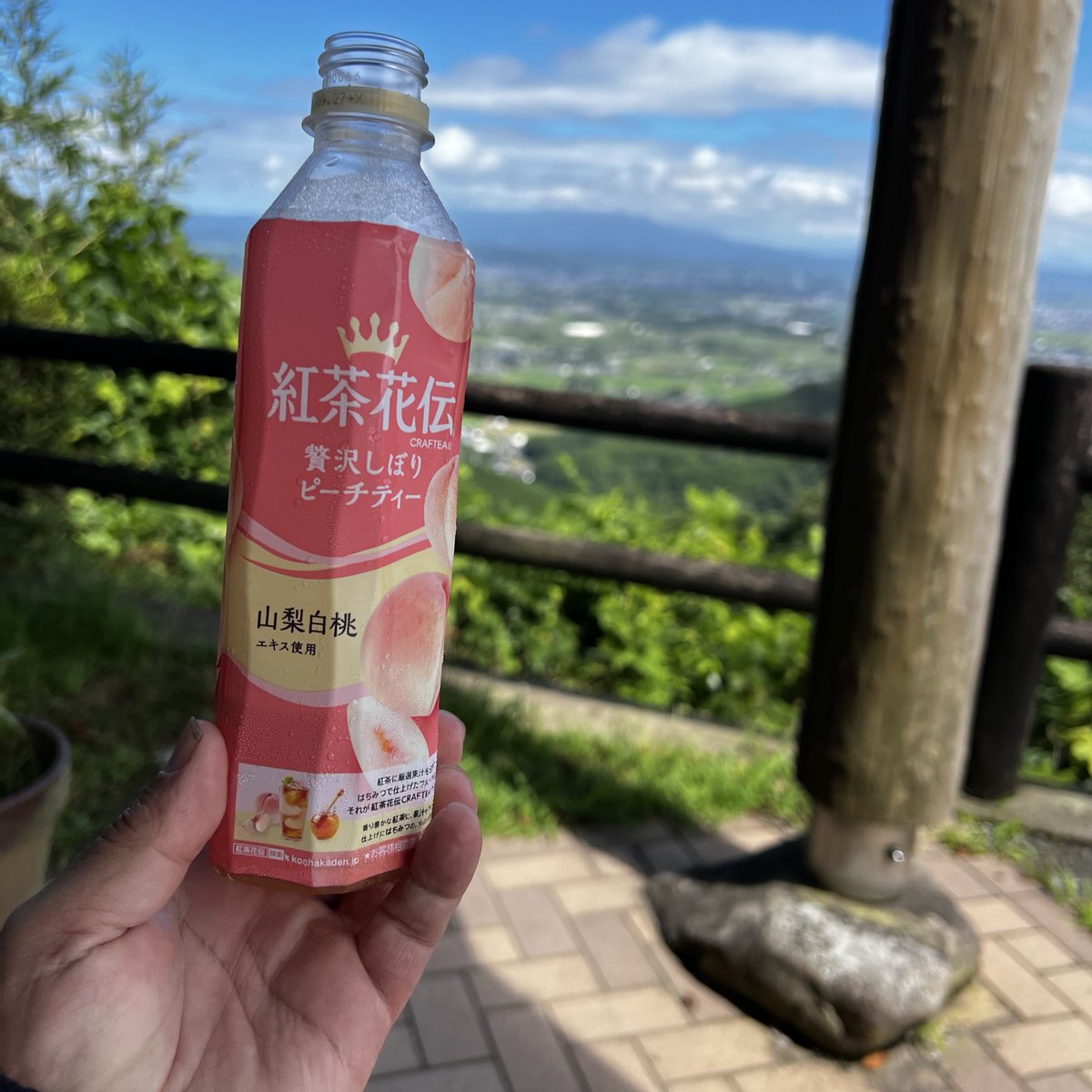 nyancyu71's tweet image. なかなか美味い！
桃の味ですっきりしますね