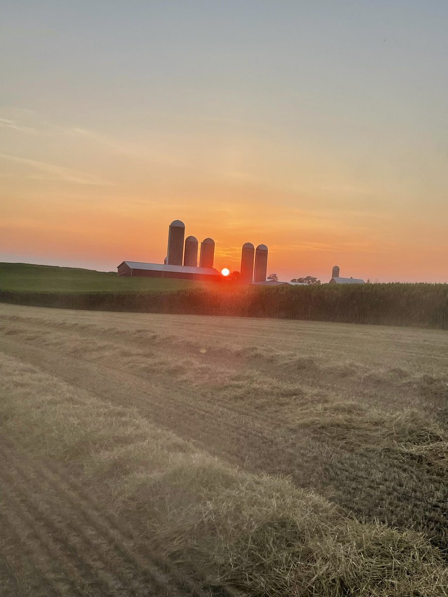 johndeeredr's tweet image. View from the barn door