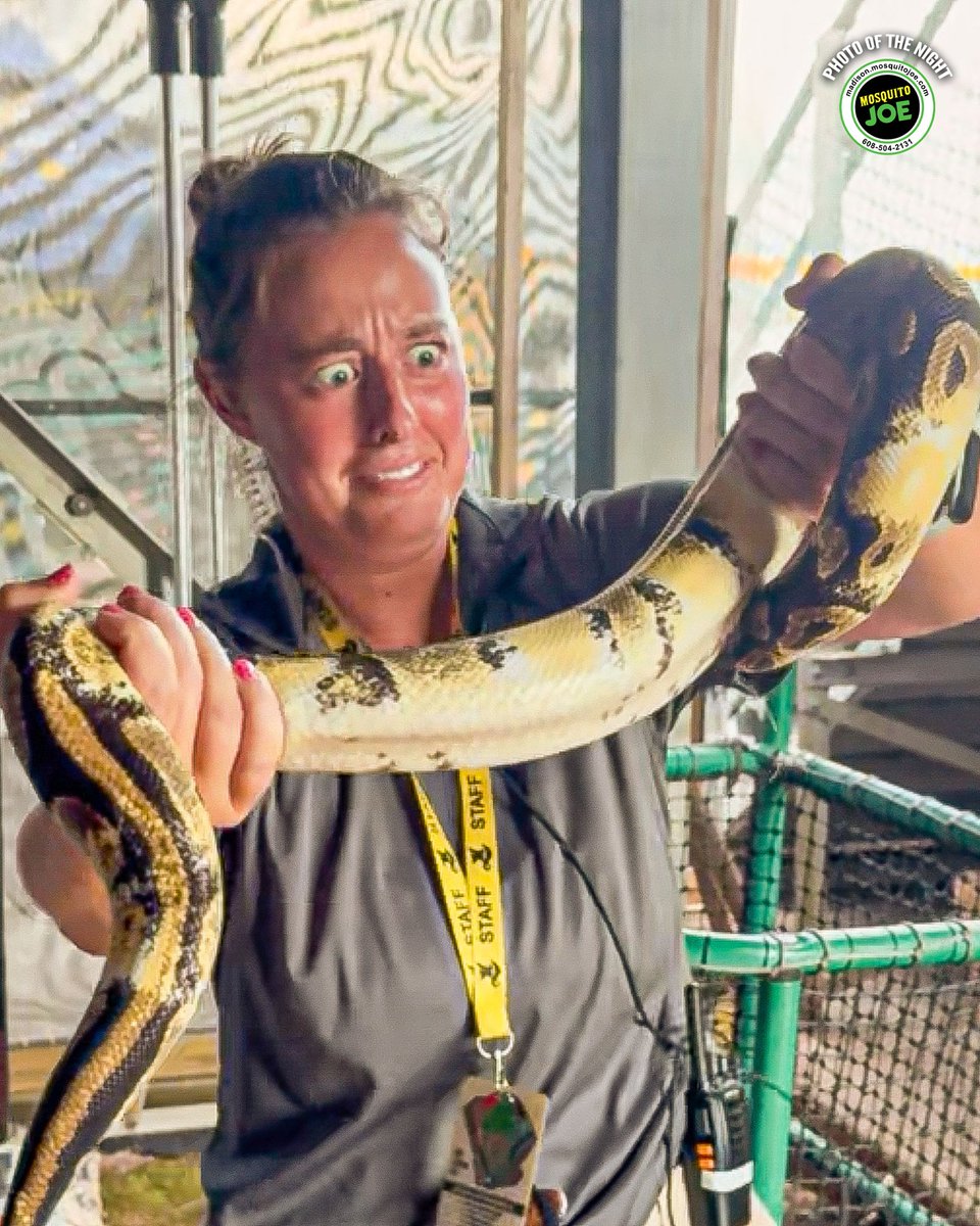 NightMares_SB's tweet image. When the snakes show up, the win streak slithers on🐍#photoofthenight
@mosquitojoe
