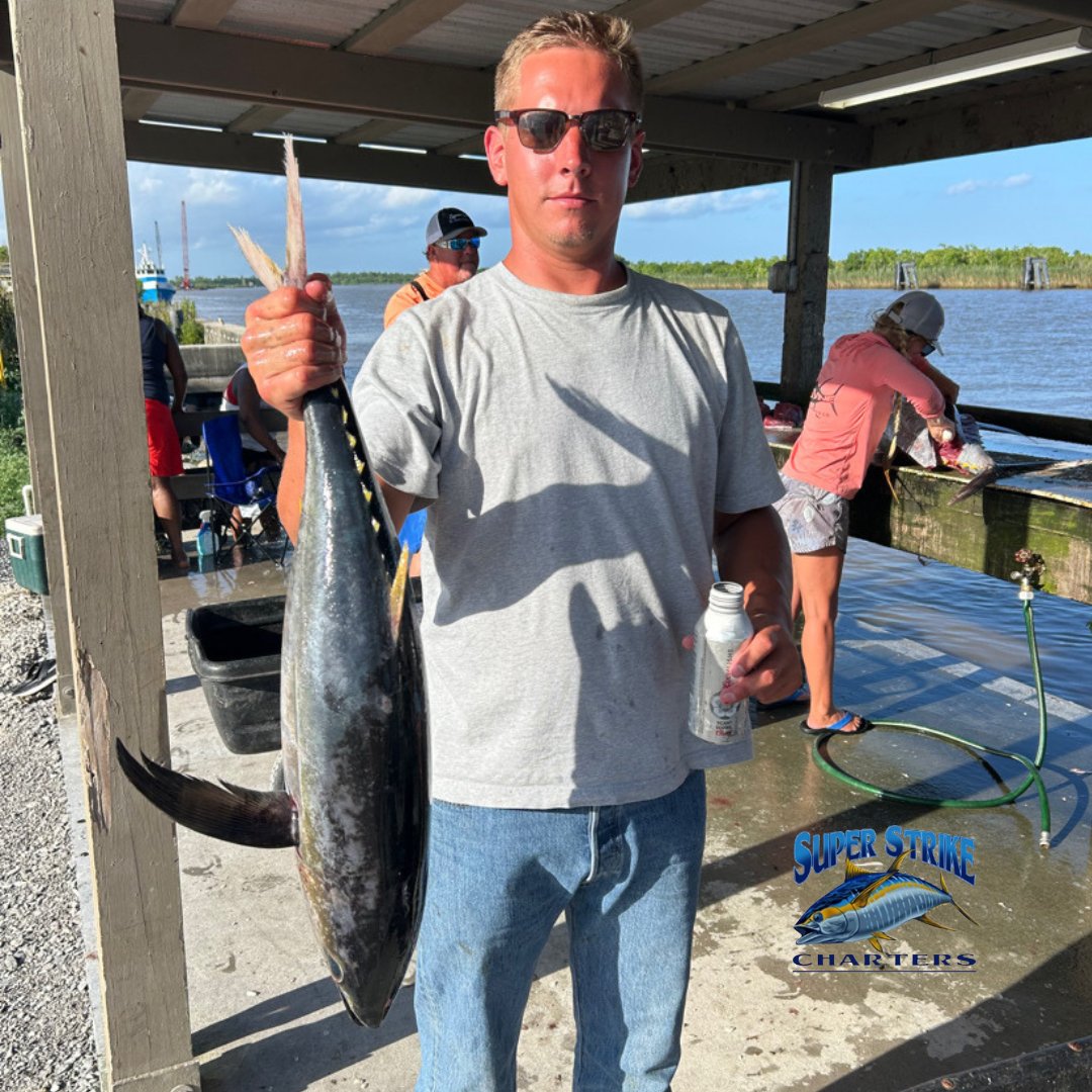 DPMSSC's tweet photo. ๐ฃ TUNA TIME! ๐๐ฅ
The Kelsoe crew from Texas teamed up with Captain Willy B and absolutely crushed it offshore โ reeling in 8 yellowfin tuna on their epic adventure!
#YellowfinTuna #OffshoreFishing #SuperStrikeFishing #TunaTime #BookYourAdventure https://t.co/7XGUydFPmE