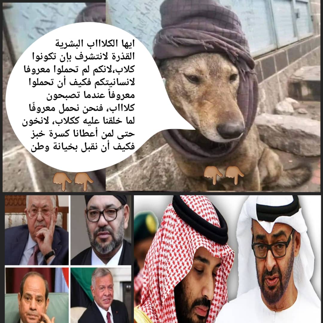 adnanalshamy2's tweet image. 📸 شاهد الصورة
✋🏼 بيان صريح لكل من يظلم الكلاب ويسيء إليها بتشبيه الخونة و زعماء العار بها
كفاكم إهانة للكلاب!
فهي أوفى، وأنبل،وأشرف وأطهر من كل خائن ومرتزق وكل زعماء العرب المتصهينين
فالكلب لا يخون ..ولايعض اليد الذي أحسنت إليه
🐾توقيع:الكلب الوفي
وهذا رده على الكلاب البشرية👇
