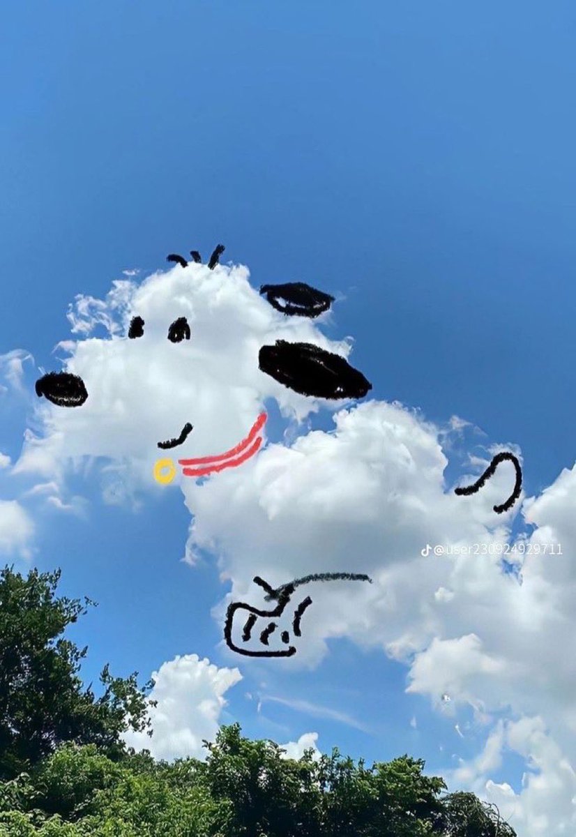 Daily Snoopy (@dailysnoopys) on Twitter photo 