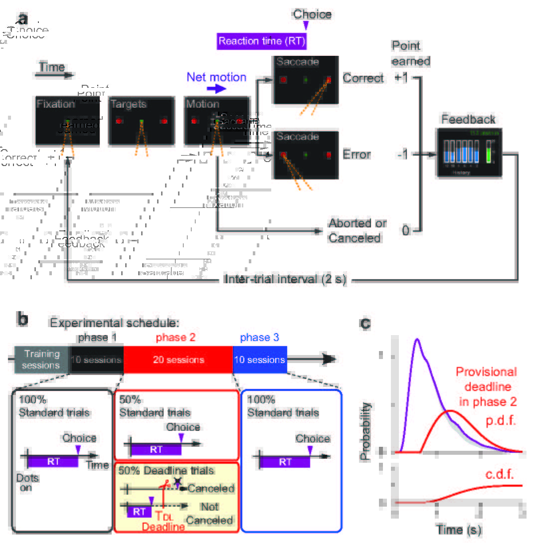SfNJournals's tweet image. #JNeurosci: Kira, Zylberberg and Shadlen explored how people balance speed and accuracy during decision-making. vist.ly/3ytpw