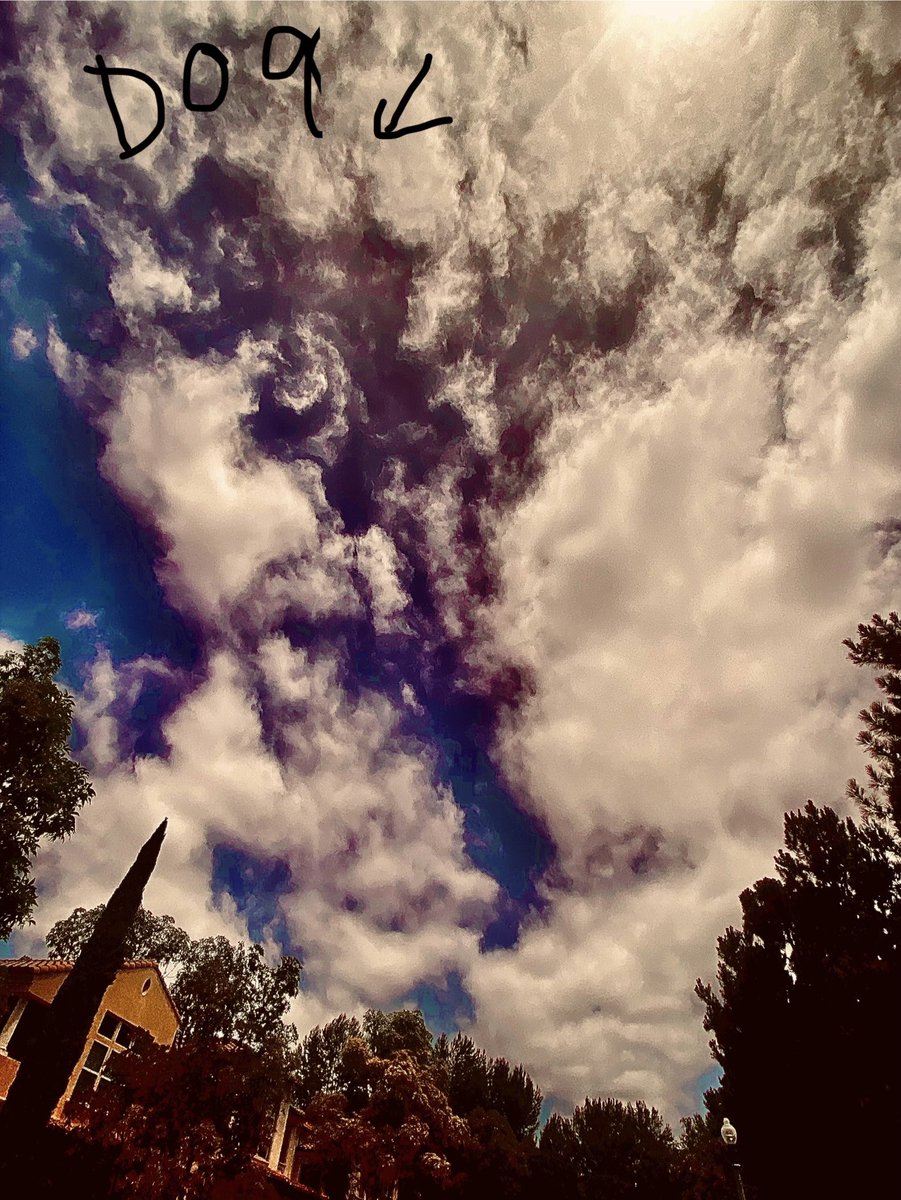 Mylilangelsrose's tweet image. Evil dog also blowing out another something with horns even .