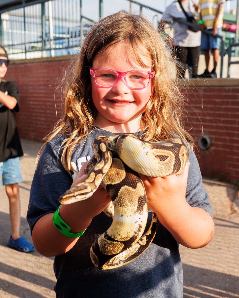 NightMares_SB's tweet image. whole lotta night mares at the ball park tonight 🐍🕷️🤡