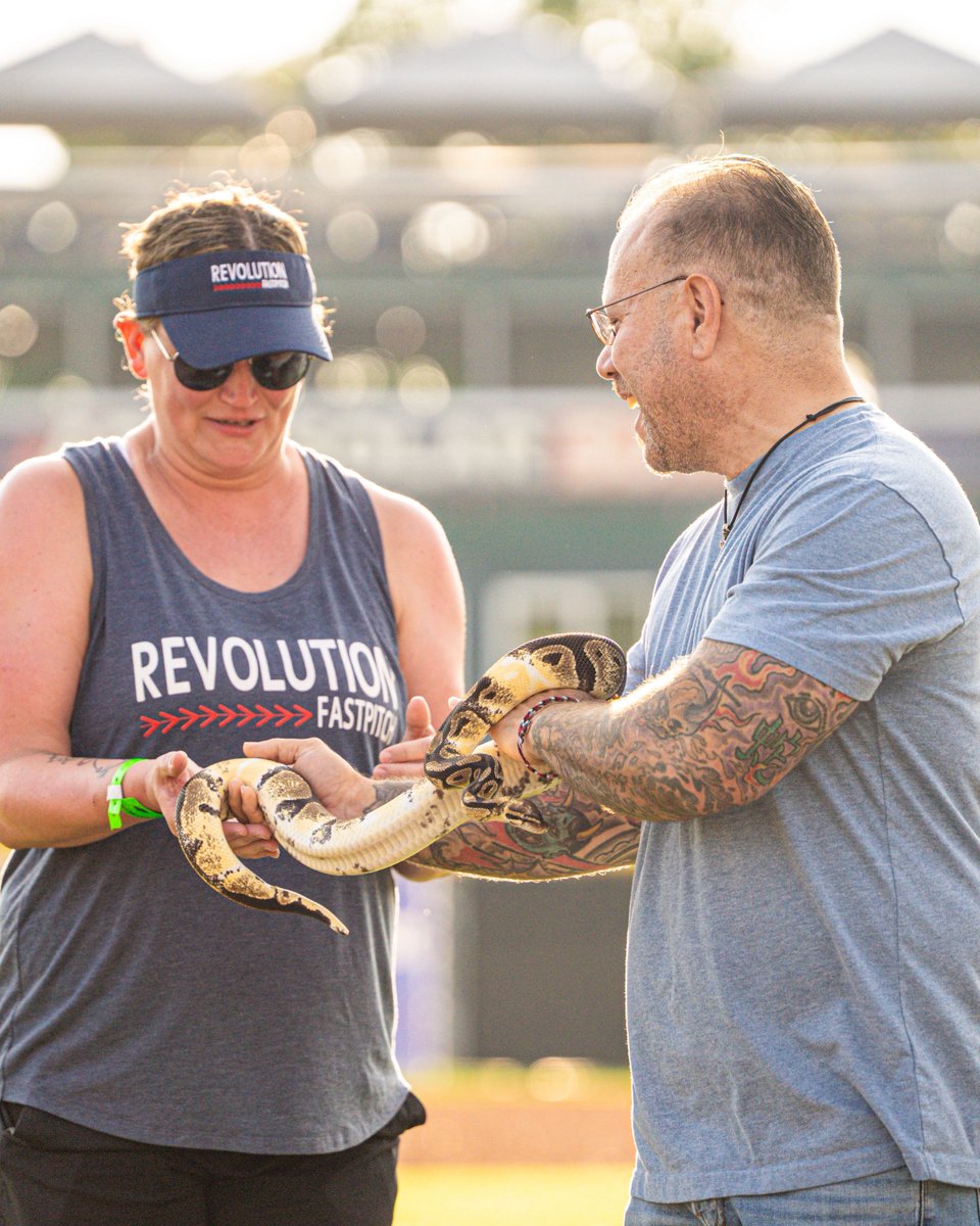 NightMares_SB's tweet image. whole lotta night mares at the ball park tonight 🐍🕷️🤡