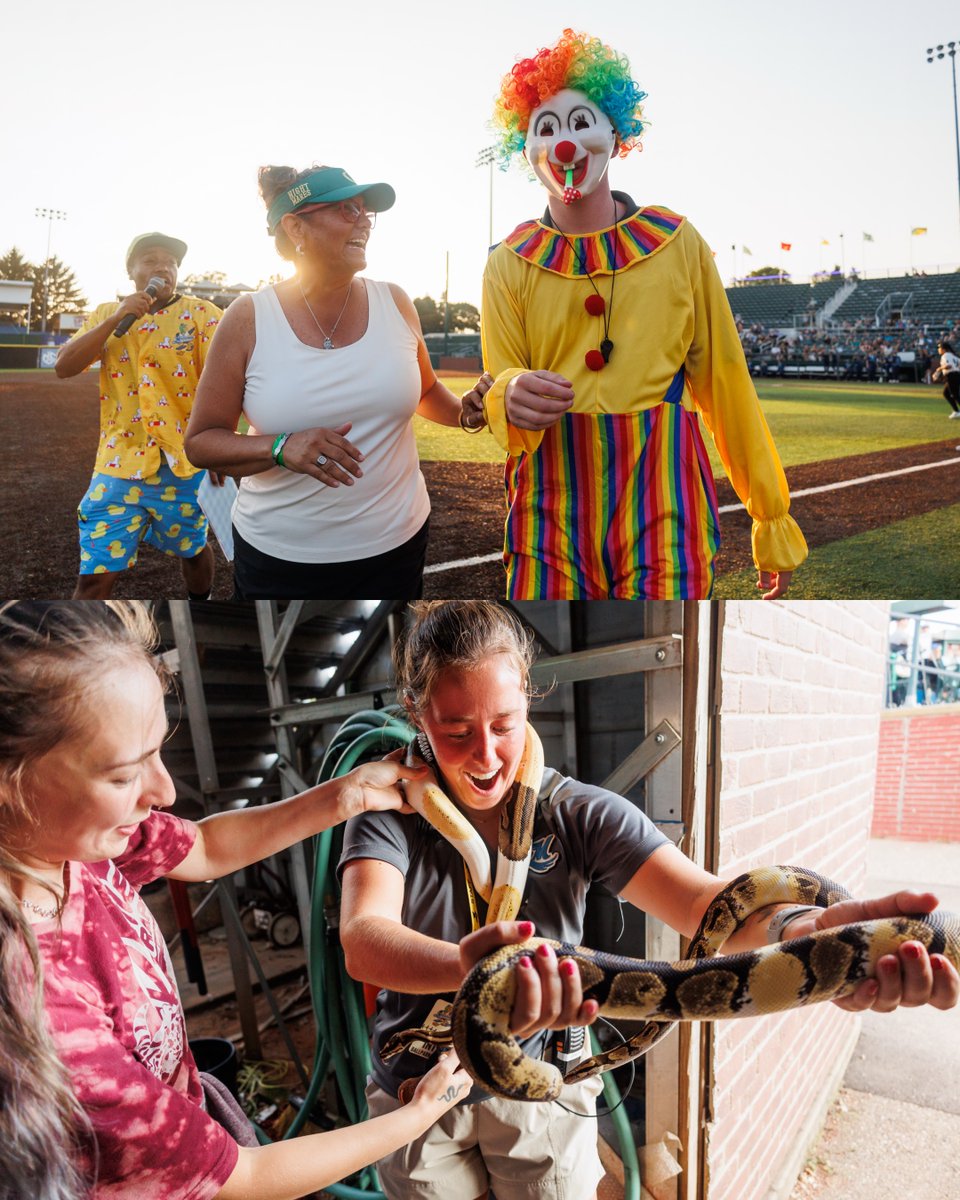 NightMares_SB's tweet image. whole lotta night mares at the ball park tonight 🐍🕷️🤡