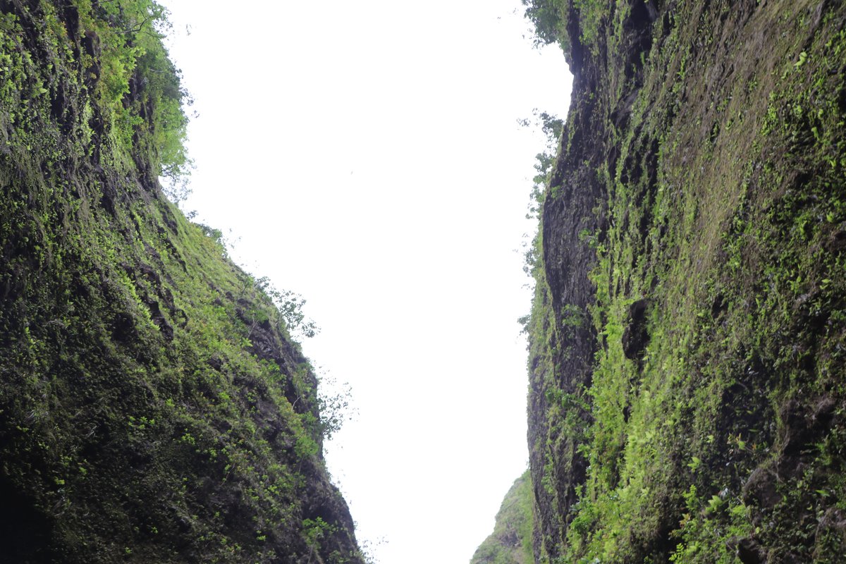 KHONnews's tweet image. “People who enter Sacred Falls are not only endangering themselves, they also endanger the safety of first responders if they get into trouble.”
Read more: tinyurl.com/bdzxpb2n?utm_m…