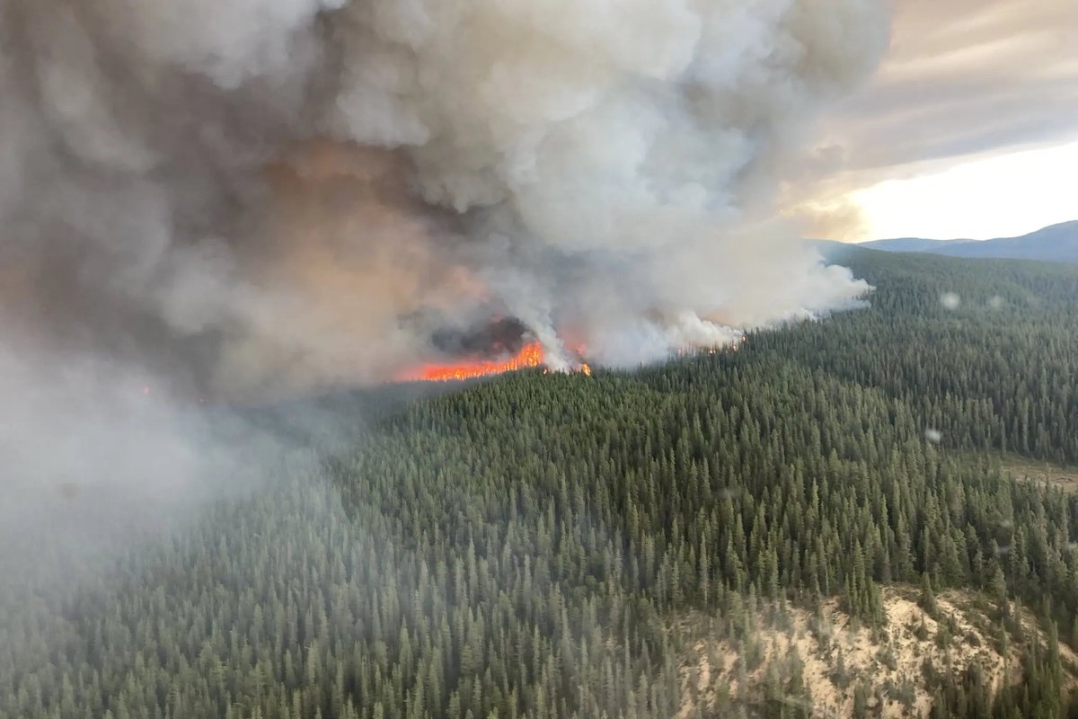 1t_org_US's tweet image. The area of forest canopy lost to fire during 2023 and 2024 was at least two times greater than the annual average of the previous nearly two decades, according to a new study.
nytimes.com/2025/07/21/cli…