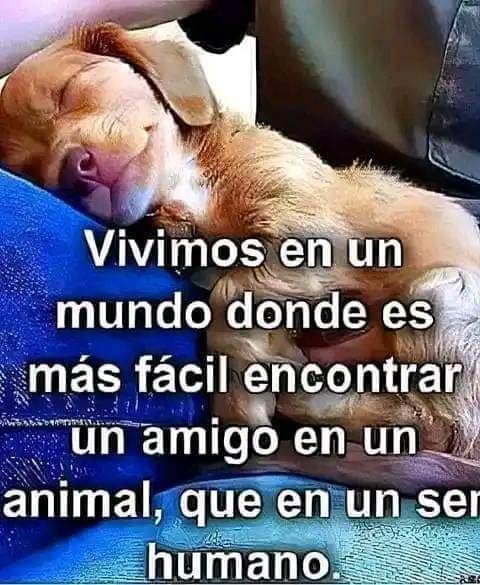Buenas noches ✨💖
