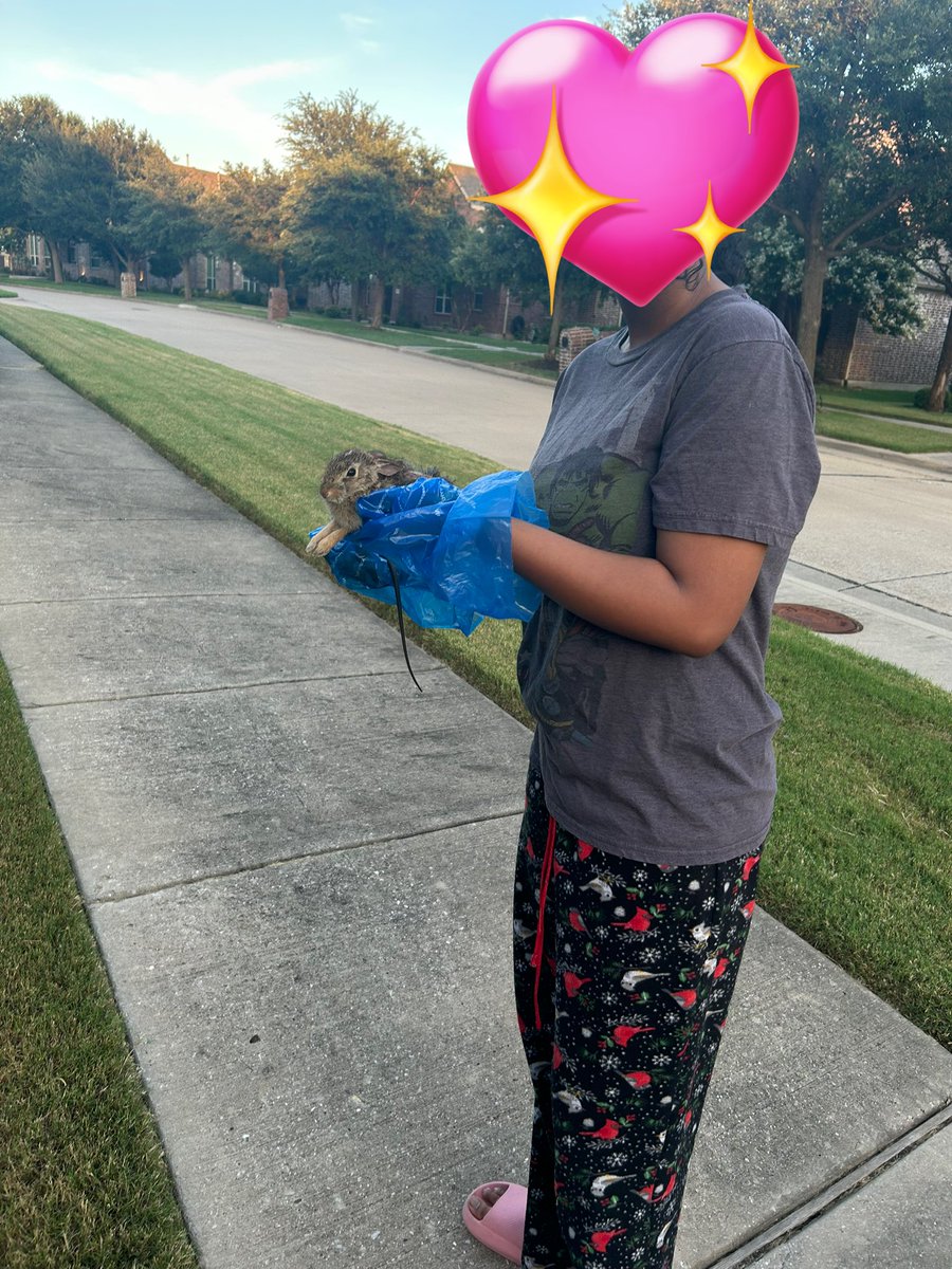 whoringeveryday's tweet image. so my sister called me freaking tf out and said onyx killed a mouse and she has it in her hand and then she walked past this mangled rabbit and picked that one up too so i came to grab onyx and