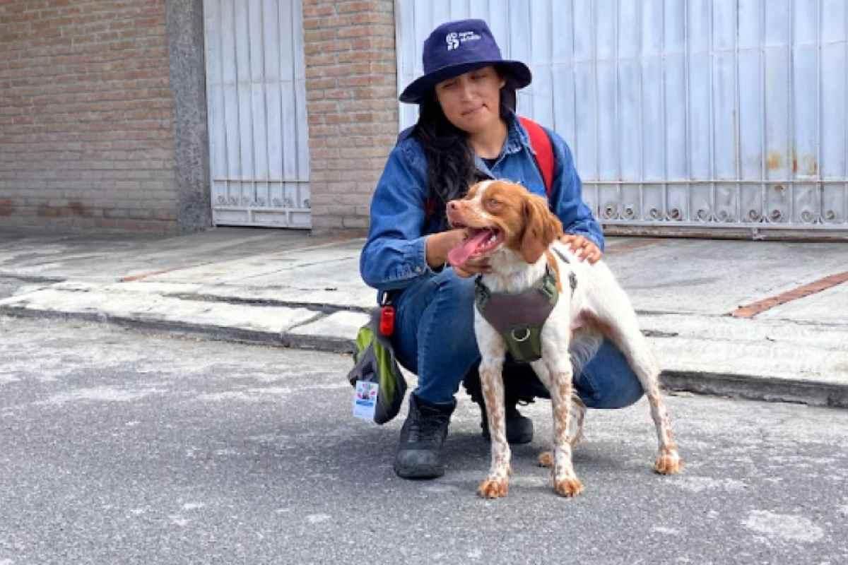 ElSabuesoAP's tweet image. ¿Es ilegal dejar la popo de tu perro en la calle?
En la CDMX📍 existen dos leyes que establecen la obligación como persona tutora de un lomito de recoger su popó.
Te contamos más: buff.ly/4Ol1gWk