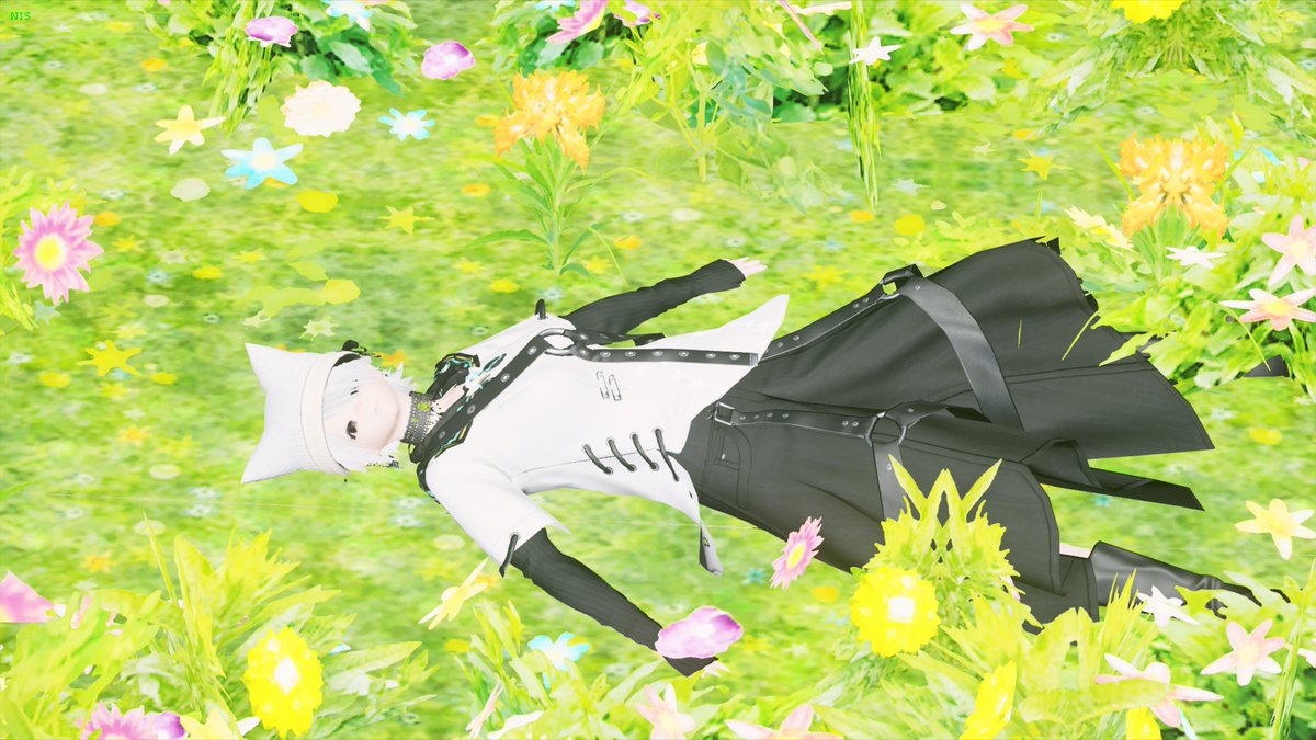 おはよーございます( ¯꒳¯ )ᐝ

#PSO2NGS_SS 
#メンテの日じゃないけどssを貼る 
#まだ見ぬアークスと繋がりたい 
#可愛いうちの子をとりあえず見ろ