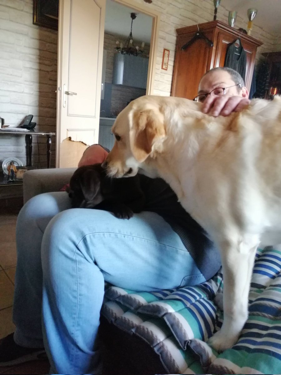 Vpg33340's tweet image. Il y a 1 an tu me téléphonais à 3H30 pour me demander de venir chez toi car tu n'allais pas bien....
2 heures après tu partais rejoindre maman et papa me laissant totalement anéantie....
Je pense à toi tout le temps, tu me manques tellement mon petit frère.
Je t'❤️ et mon 💔