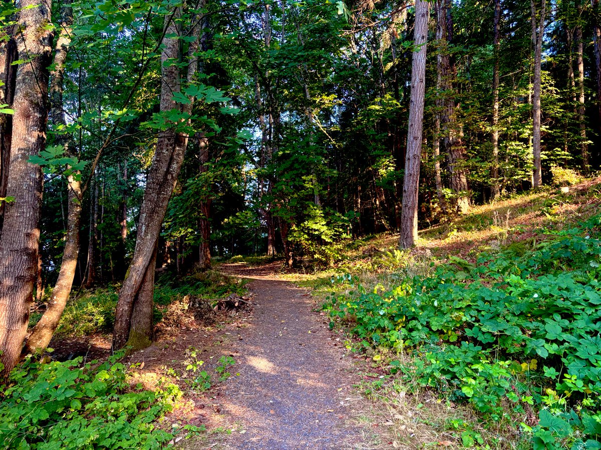 Christy4Change's tweet image. Nightly Reminder β¨
Enjoy the little things.
Get outside.
Enjoy life.