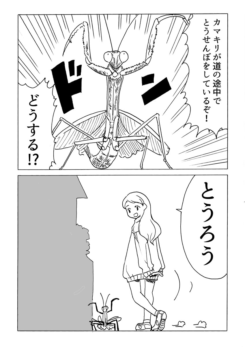 ajico_k's tweet image. 今日の2コマダジャレ
時々未知のど真ん中で威嚇してるカマキリをみることがありますが、あれはいったい何をしてるんでしょうね、車に喧嘩を売っている?