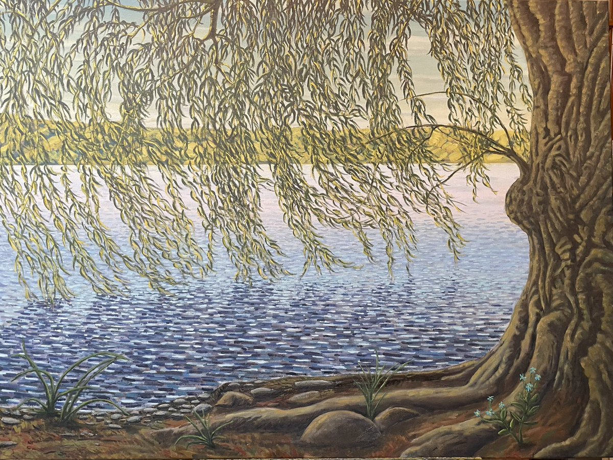 johnkinsella52's tweet photo. Under the Big Willow 2023
Oil on canvas 
30 x 40 inches 
#art #artlovers #paintings #oilpainting @Anishinabe_Life @kimahesse @Muskoka411 @RobinStanfill2 #princesspoint @cityofhamilton @DouglasGardham @peac4love https://t.co/yFHlJpgtbK
