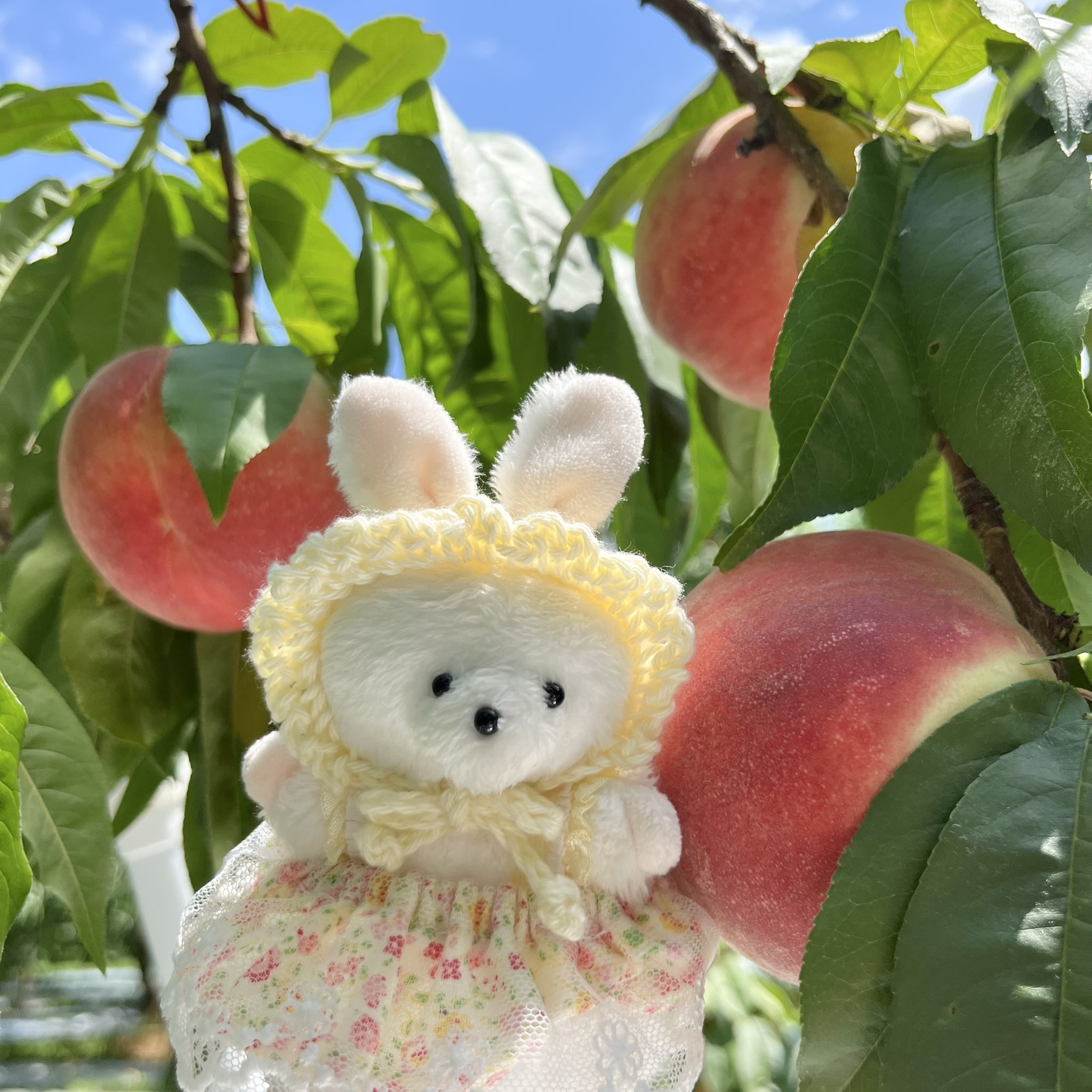 あんこのおもちゃばこ on X: 