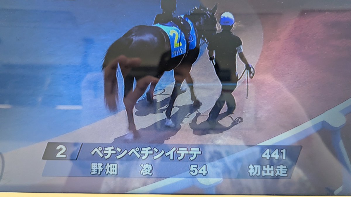 taity_2's tweet image. 浦和新馬２Ｒ
滅茶苦茶カワイイ名前の馬いるww🫶