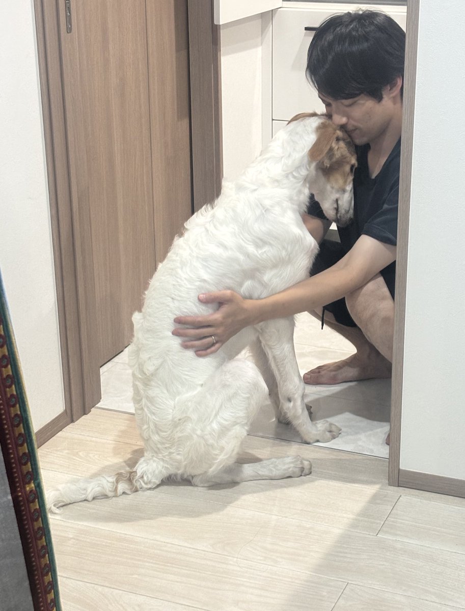 velzoi's tweet image. ラムって吸われるのが好きらしい