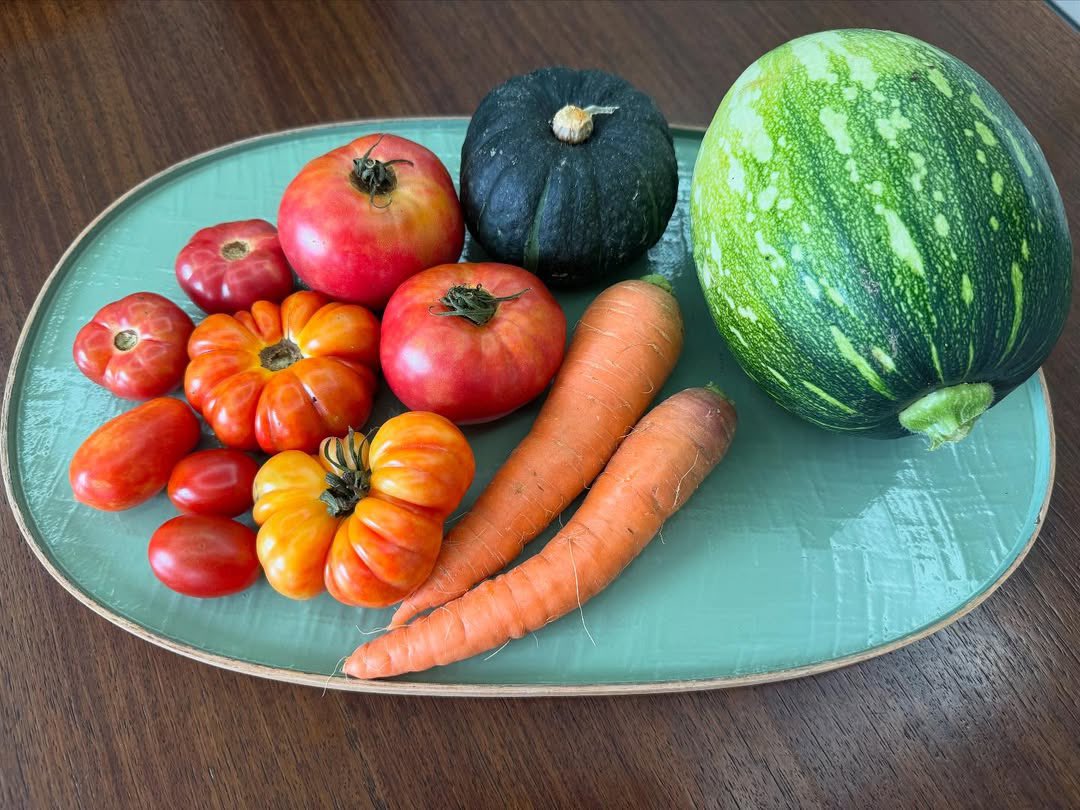 sonyejinpics's tweet image. yejinhand instagram update
βprecious organic vegetables grown personally π
π₯π₯¬β
#iwilleatitgratefully #nootherchoice #nootherchoicebuttobecomehealthy
son yejin be promoting &lt;no other choice&gt;:
by posting teasers β
by posting fresh organic vegetables β
