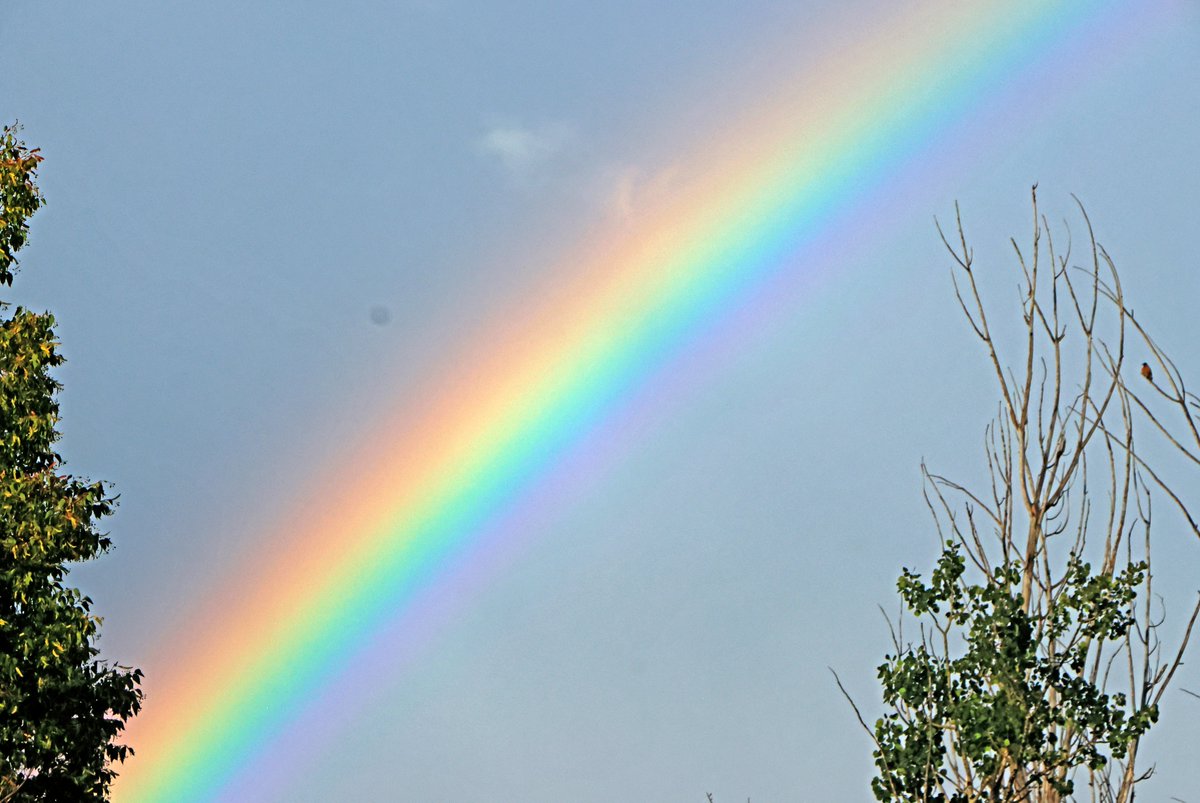BobZellarPhoto's tweet image. #Rainbow in Billings MT tonight
