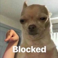 cleytu's tweet image. estou começando a ficar com RAIVA desse tal morango do amor