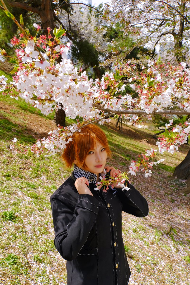 ch_halmae's tweet photo. #PERSONA4 #P4 #P4G  
페르소나4 - 하나무라 요스케   
(Yosuke Hanamura)  

📷@fool_cos https://t.co/Ux1psgW15K