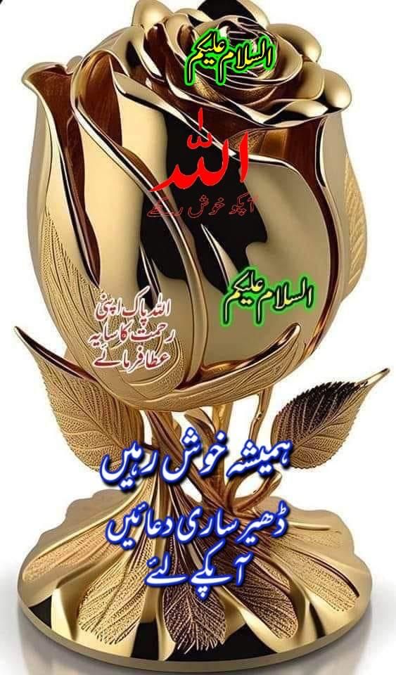 ﷽
السلام علیکم ورحمةُ اللہ وبركاته🌹

⁧#خاتم_النبیین_محمدﷺّ⁩
 پر ⁧#درود_وسلام⁩

اللہ پاک جو بھی بیمار ہیں انہیں شفائے کاملہ و عاجلہ عطا فرما صحت تندرستی والی لمبی زندگی عطا فرما ہر قسم کی بری نظر، شر اور بلاؤں آفتوں مصیبتوں سے ہماری اور ہمارے پیاروں کی حفاظت فرما آمین