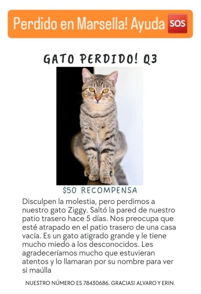 DameTuPatasv's tweet image. Se busca! 🙏🏻