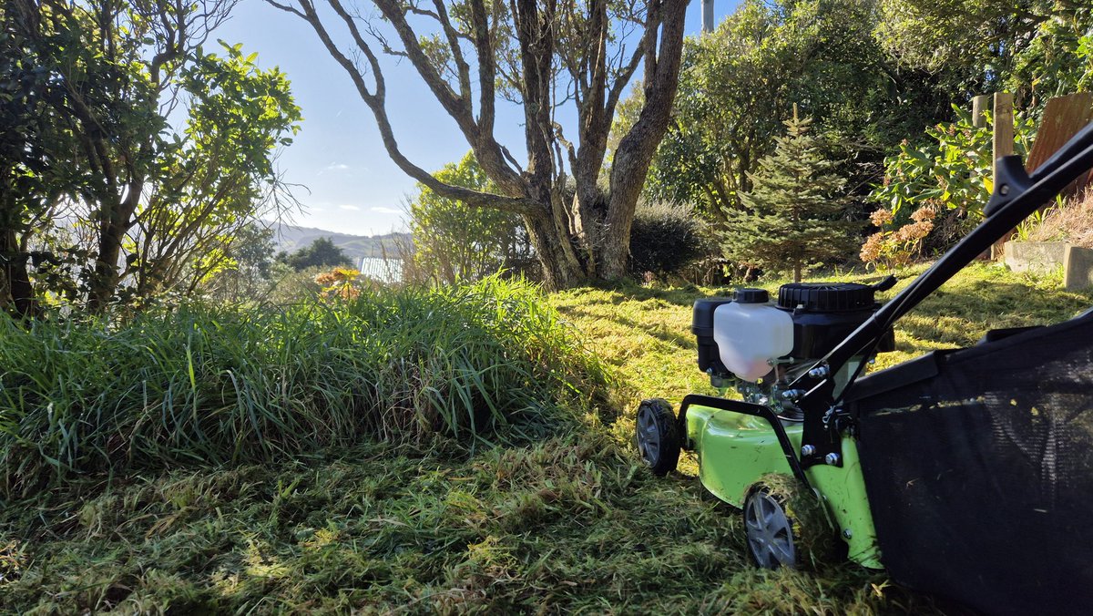 ponekeben's tweet image. RIP to the Flymo defeated by months of neglected back lawn. Hello to my new petrol powered friend (because I don&apos;t trust battery powered lawnmowers to do the job).