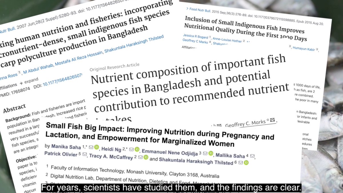WorldFishCenter's tweet image. 💡In Assam, India, we piloted a game-changing approach to add nutrient-rich #smallfish powder to school meals.
The pilot reached ~3,000 children and backed by the Prime Minister and the Gov of Assam.
Read more: tinyurl.com/WFNews2507h
#AquaticFoods @mygovassam @FisheriesGoI