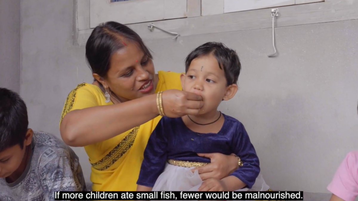 WorldFishCenter's tweet image. 💡In Assam, India, we piloted a game-changing approach to add nutrient-rich #smallfish powder to school meals.
The pilot reached ~3,000 children and backed by the Prime Minister and the Gov of Assam.
Read more: tinyurl.com/WFNews2507h
#AquaticFoods @mygovassam @FisheriesGoI