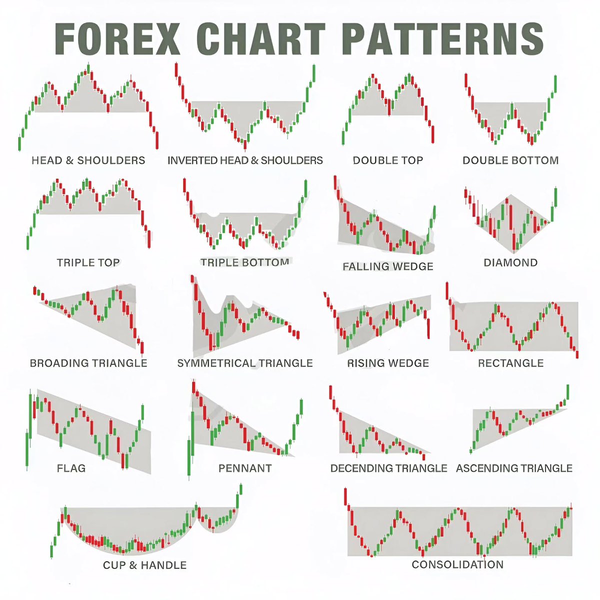 Mybookmojo tweet media