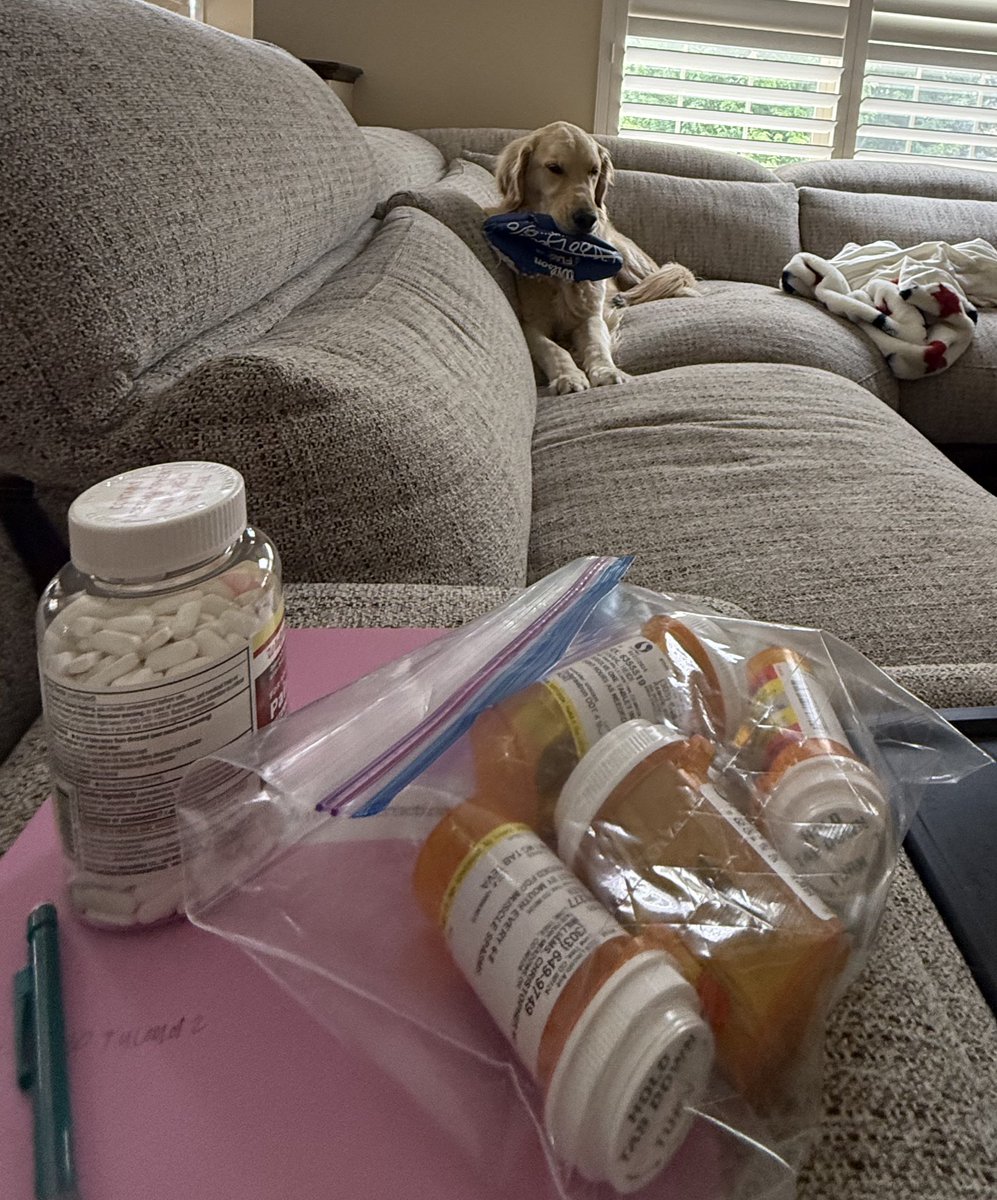 Cancer sucks.

4th surgery this year, hopefully last! They caught my breast cancer early, I’ll be fine - but what a process it has been!

US healthcare is amazing - and terrible - both…but dogs are the best! #guardianangel