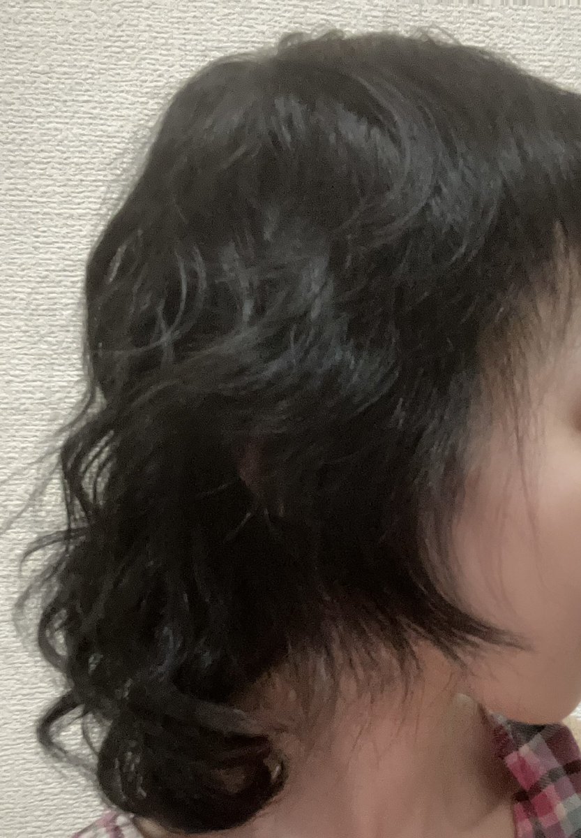 最終抗癌剤投与日から約1年6ヶ月

いまいち変化が分かりにくい紫苑ちゃんの髪の毛お育て月記

前髪ください前髪
前髪全然伸びない
