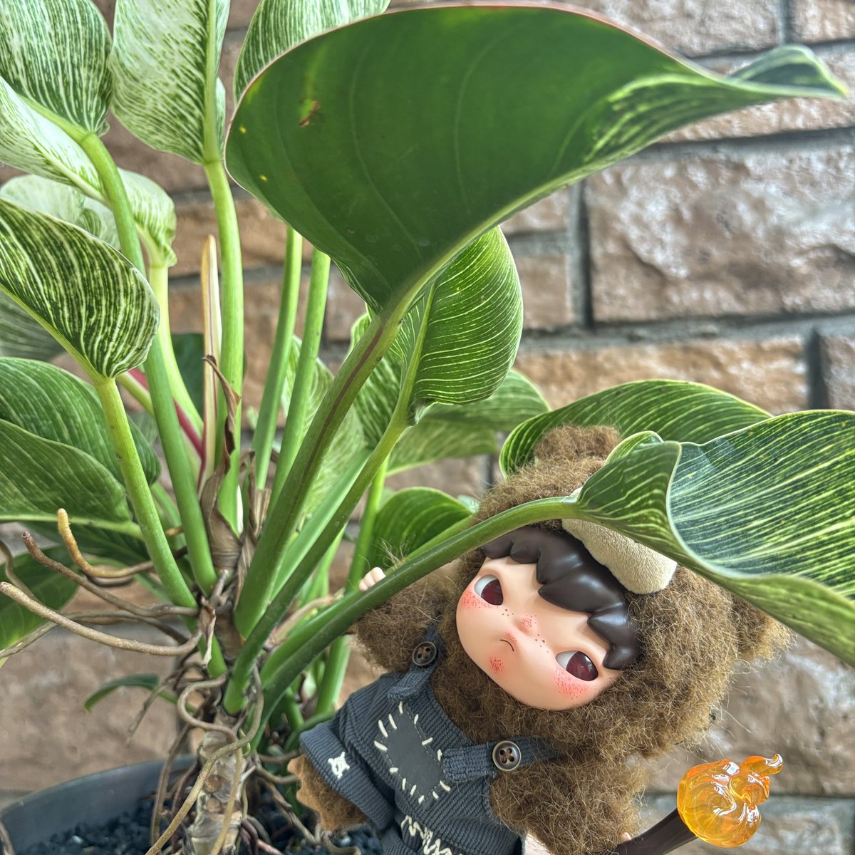 his first day and he’s already gardening🪴⛲️