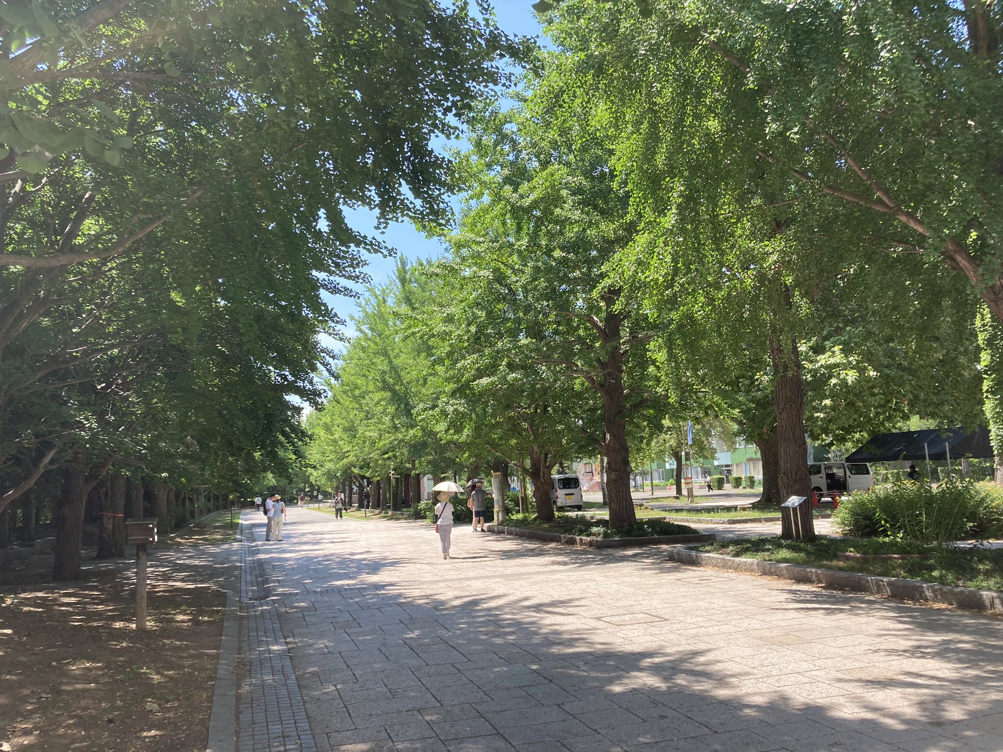 ç»å