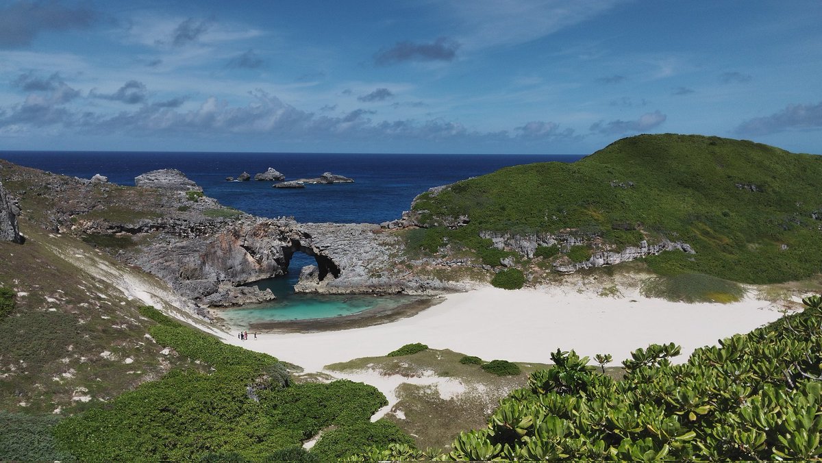 新こざこざ tweet media