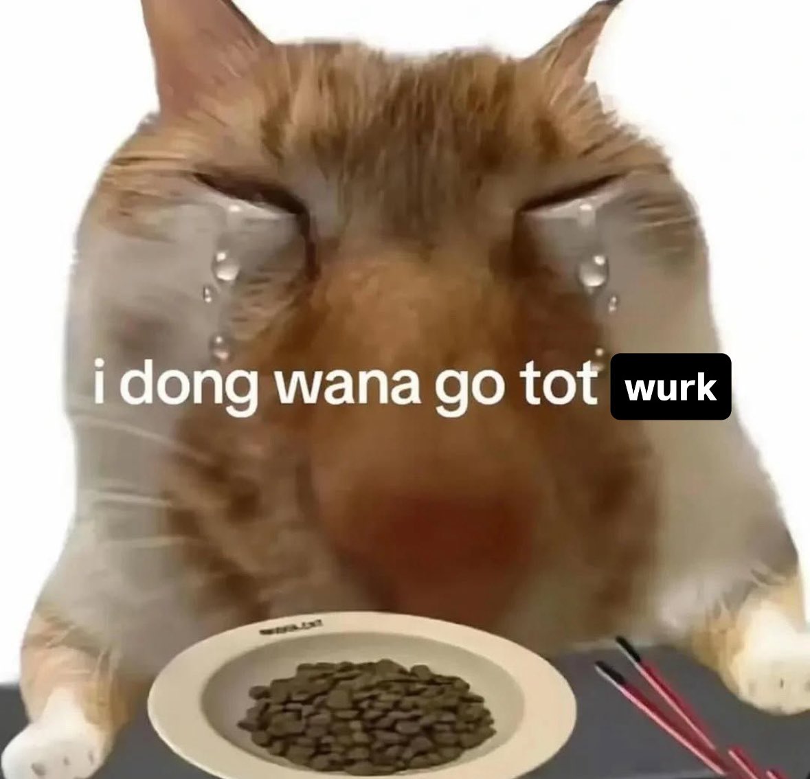 lis (eepy) ((very)) (@arffsaad) on Twitter photo 