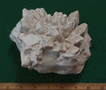 TonyClimate's tweet image. "September 3, 1970, the heaviest hailstone on record fell in Coffeyville, Kansas. The hailstone measured 17.5 inches in circumference, weighed 1.67 pounds and scientists estimated that it struck the ground at the speed of 105 MPH."
coffeyville.com/345/Hailstone